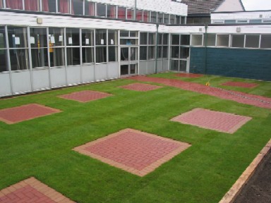 School grounds after work 